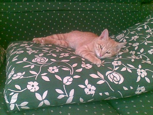 lenin