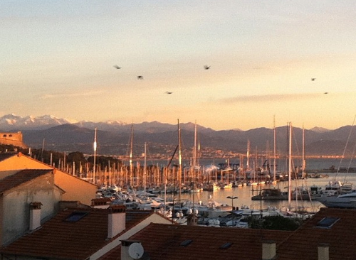 vista del porto di antibes dalla mia veranda port vauban, antibes